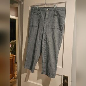 Talbots Straight Ankle Jeans, Railroad Stripe, Size 16W, NWOT